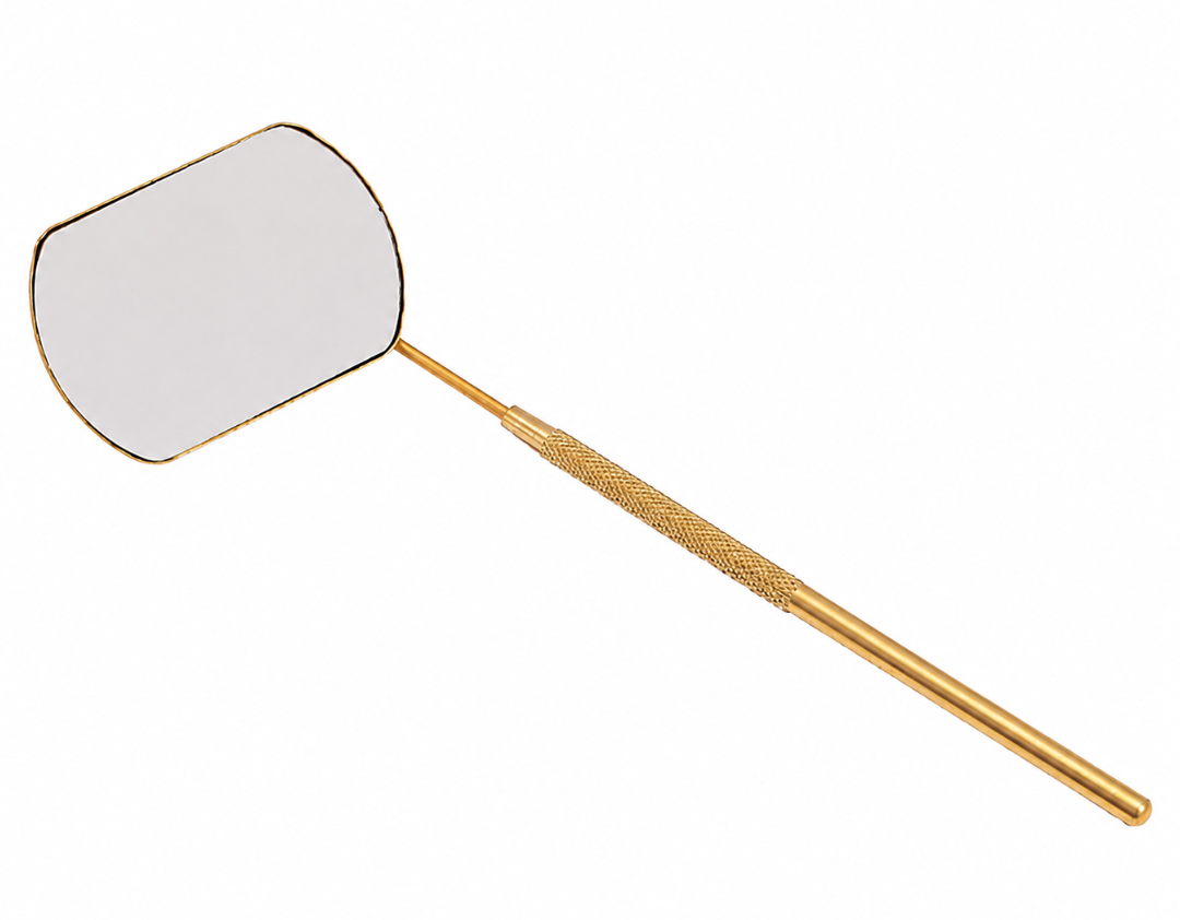 Lash mirror